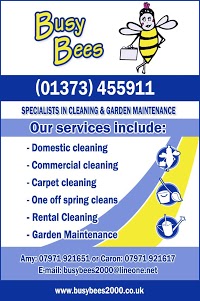 Busy Bees Cleaning Frome 351557 Image 4